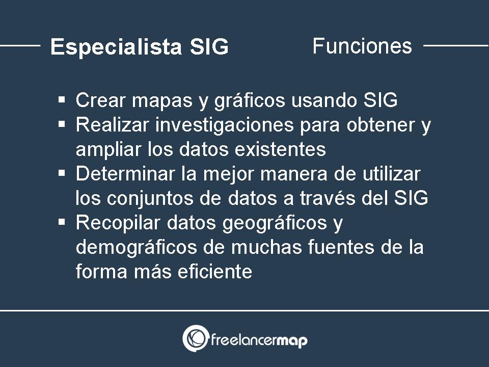 Funciones desarrollador SIG