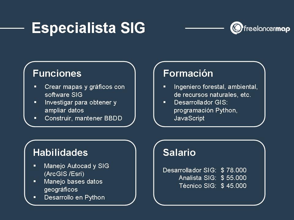 Radiografía del especialista SIG funciones formación habilidades y salarios