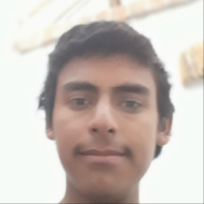 **** ****