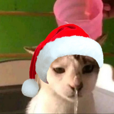 **** ****